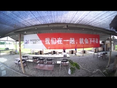 Δραστηριότητες ομάδας