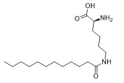 Καλλυντικές πρόσθετες ουσίες N6- (1-Oxododecyl) - δοκιμή 95% σκονών λ-λυζίνης CAS 52315-75-0 άσπρη